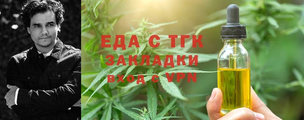 индика Магас