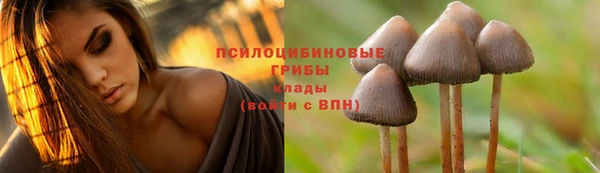герыч Армянск