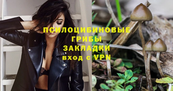 прущий лед Аркадак