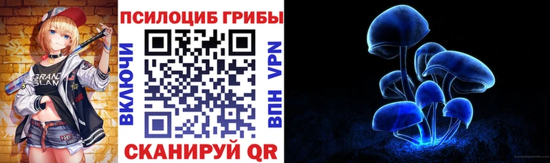 Псилоцибиновые грибы Psilocybine cubensis  мега ссылки  Покровск 